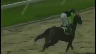 Copa Andor Tarkanyi 2019