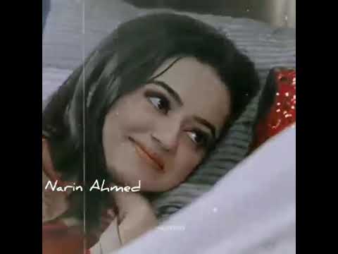 اغنيه عايشه حاله حب علي فانش ريدهيما 