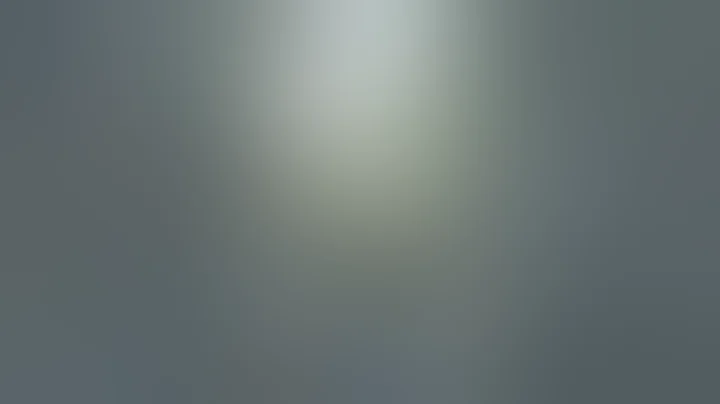 Hermès Should Respect Jane Birkin’s Legacy and Drop Croc