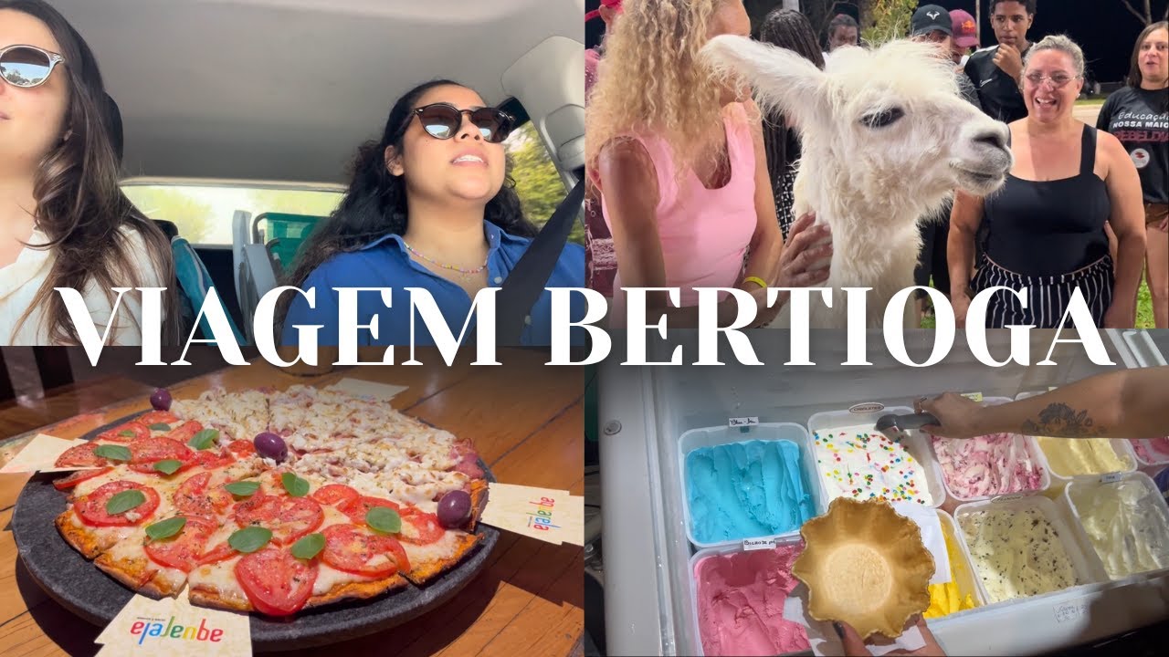 Viagem com os gatos | Bertioga