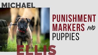 Michael Ellis on Punishment Markers for Puppies
