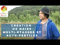 Cration de haies multietagees et autofertiles  la ppinire le fruit avenir