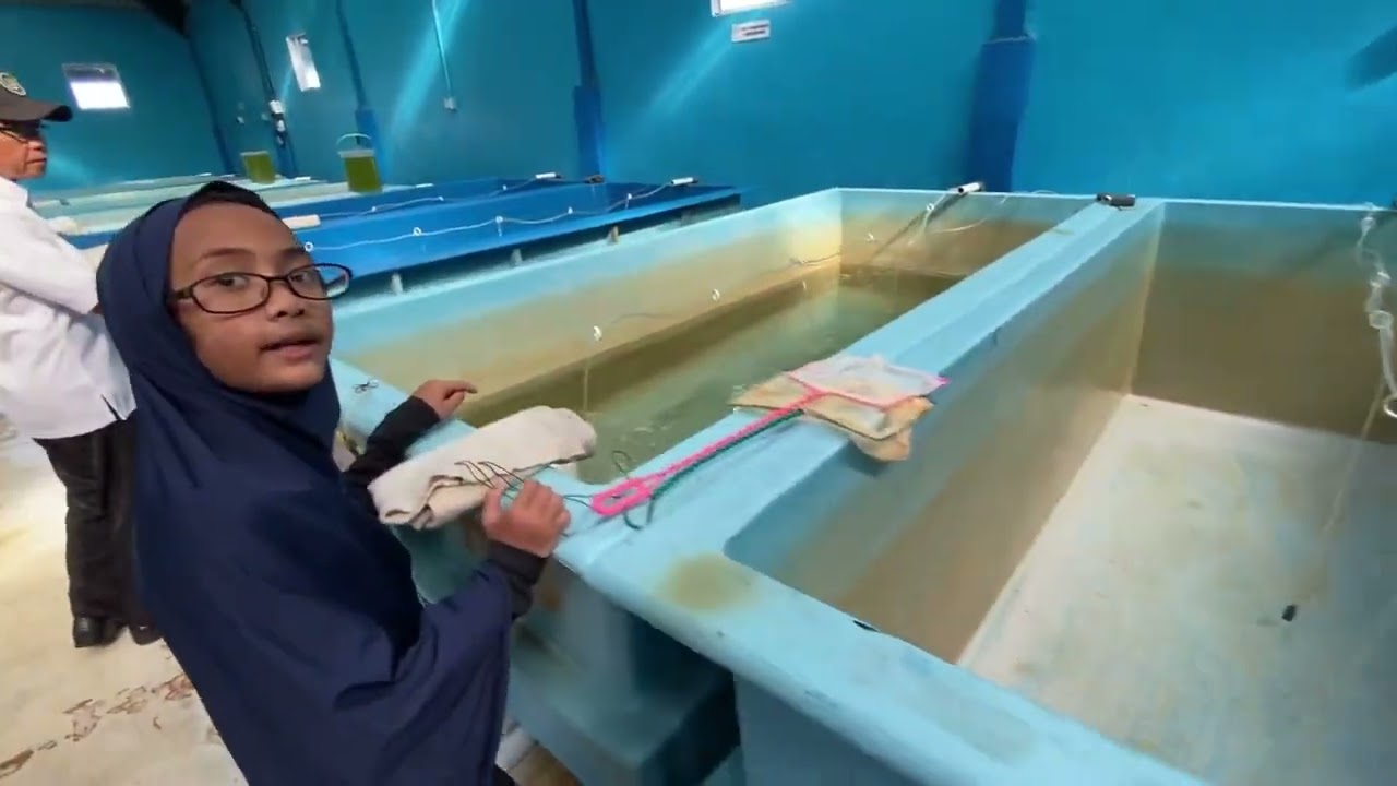 Balai Perikanan Budidaya Laut Batam (Juli 2023)