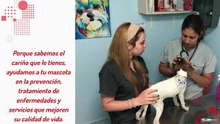 Clinica Veterinaria Mi Mascota