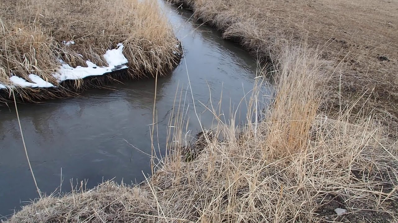 Село Жылуу-Булак. Загрязнение притоков реки Тюп(завод по производству сыра Dairy Spring)-2