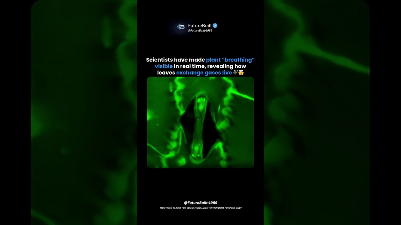 Scientists Can Now Watch Plants Breathe in Real Time 🌿🤯