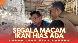 BUNGKUS IKAN DI PASAR PARUNG | ROAD TO NUSATIC NUSAPET NUSAHORTI 2026