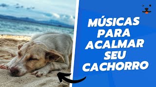 12 HORAS DE MÚSICAS PARA ACALMAR SEU CACHORRO! screenshot 1