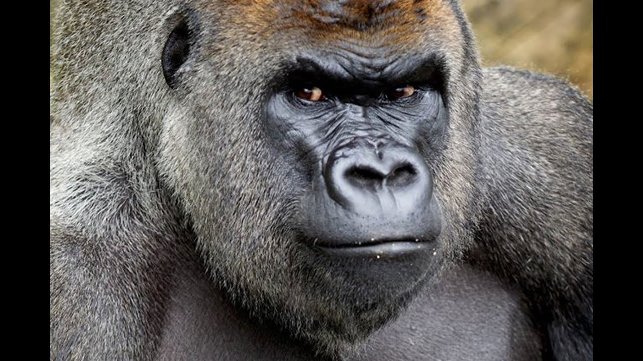 time capsule video = 2 years personal info news and tacos