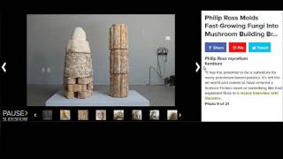 Mushroom Bricks Are As Strong As Concrete