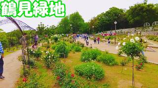 【大阪】ゴールデンウィークで賑わう鶴見緑地を散策 Osaka Tsurumi Ryokuchi during Golden Week 4K