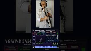 VG Wind Ensemble Virtual Instrument - Sound Showcase, Wind &amp; MIDI Controllers, VST,  Standalone app