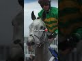The Cheltenham Festival gave us all the emotions 🩷 We hope you will cherish the memories forever.