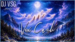 Download Lagu DJ VSG - Vox Caeli (Original Ambient, New Age Mix) MP3