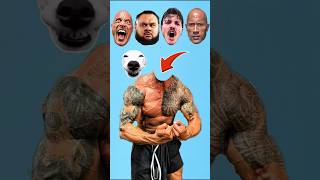 Can You Find The Rock Face