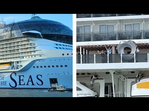 Our Sunday Watching Cruise Ships at Port Canaveral Was Full of Suprises!
