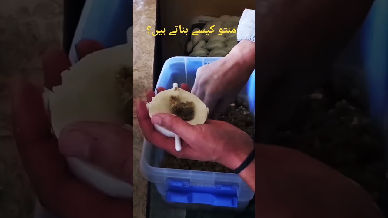 منتو بنانے کا طریقہ how to make Manto | pakistani food recipes