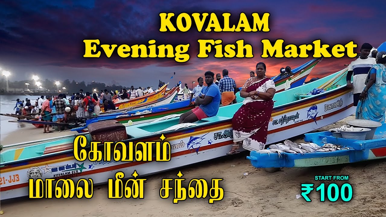 Kovalam Fish Market/Evening Fish Market