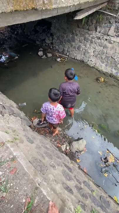 Berburu burung walet #riedwanrichie #pets #burung