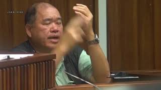 Alexandria Duval Trial Day 1 Part 2 Lawrence Lau Testifies