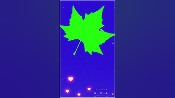 greenscreen leaf effect video chroma key#msgcreation#greenscreen