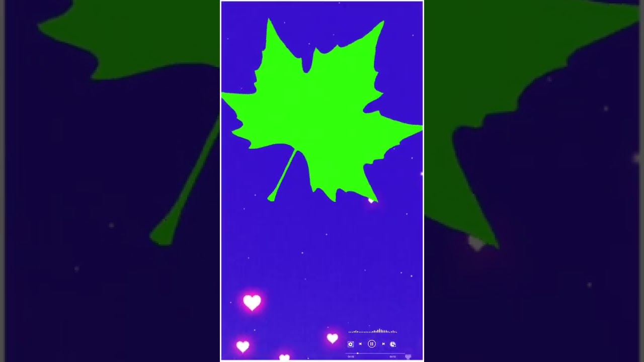 greenscreen leaf effect video chroma key