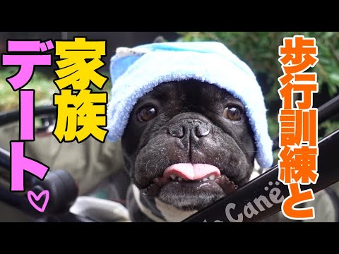 お台場の犬カフェうしすけ ココ氏カルボナーラ初もぐもぐ Youtube