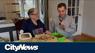Montreal Alouettes superfan part of team’s winning recipe