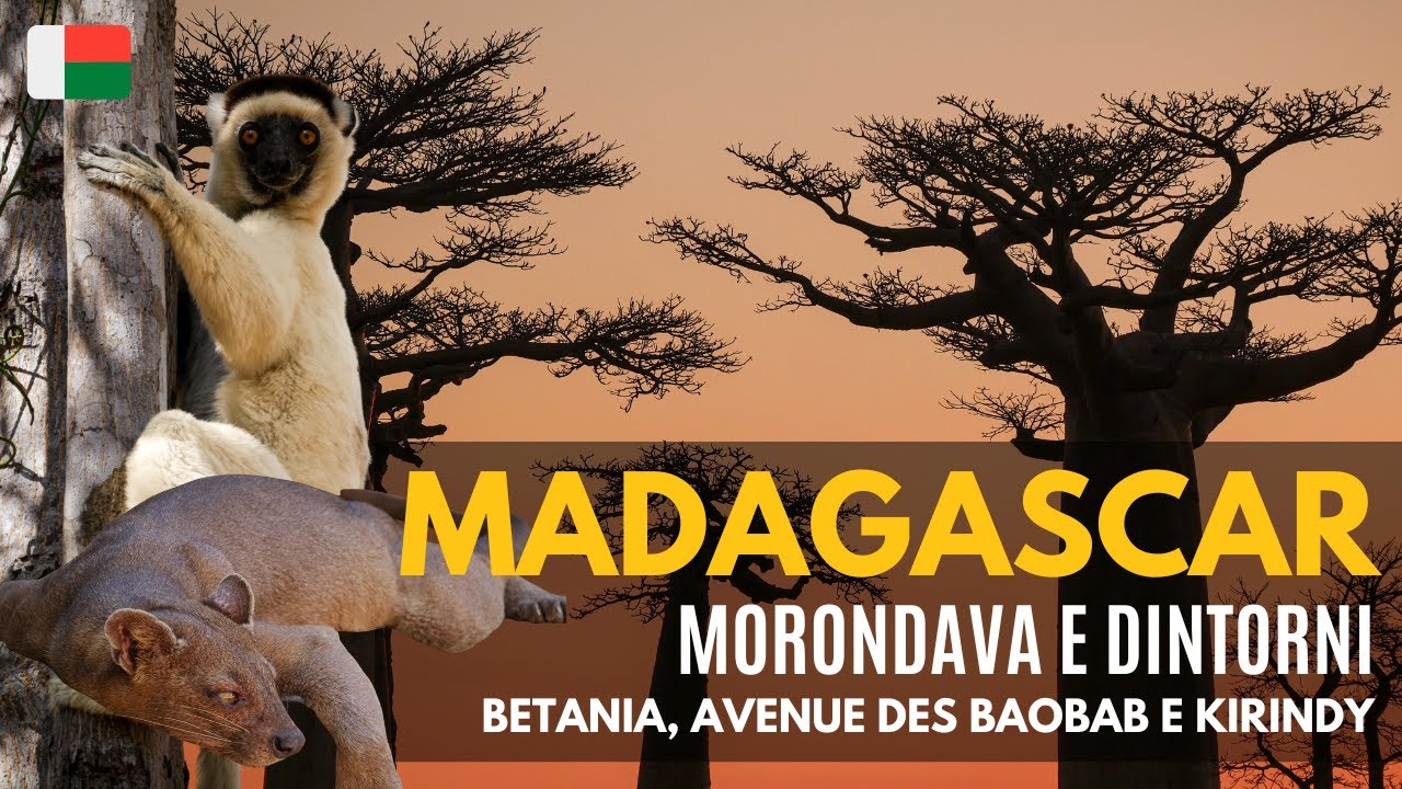 🇲🇬 MORONDAVA. Baobab, Betania e Kirindy Forest. Pt. 2