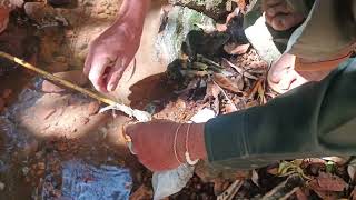 Hnub No Mus Cuab Noog Da Dej Mag Coob Heev