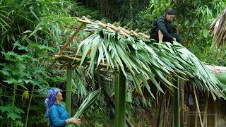 The Dream Bathroom Roof Is Nearing Completion! A Fun Papaya-Picking Session.