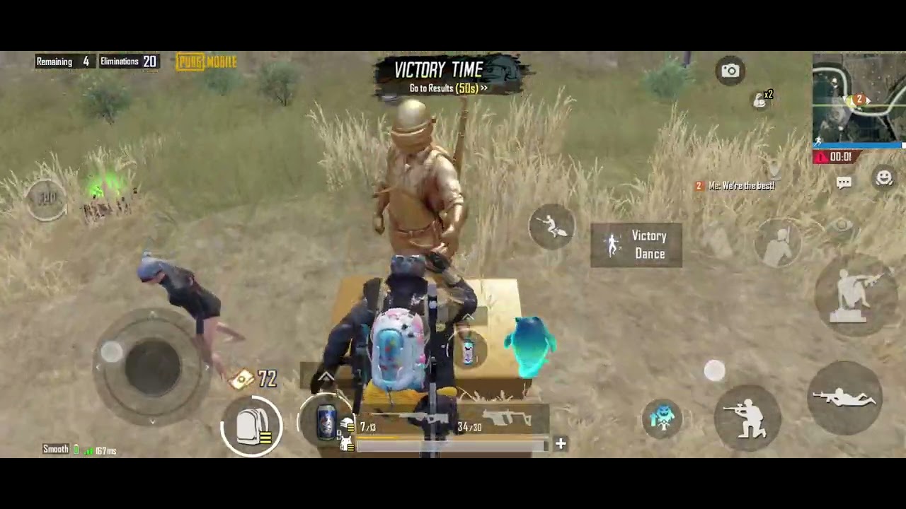 Random team 😂 with 20 kill 