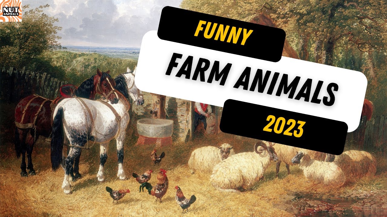 Rolling in the Hay: Hilarious Farm Animal Antics 2023! 🐷🌾😂