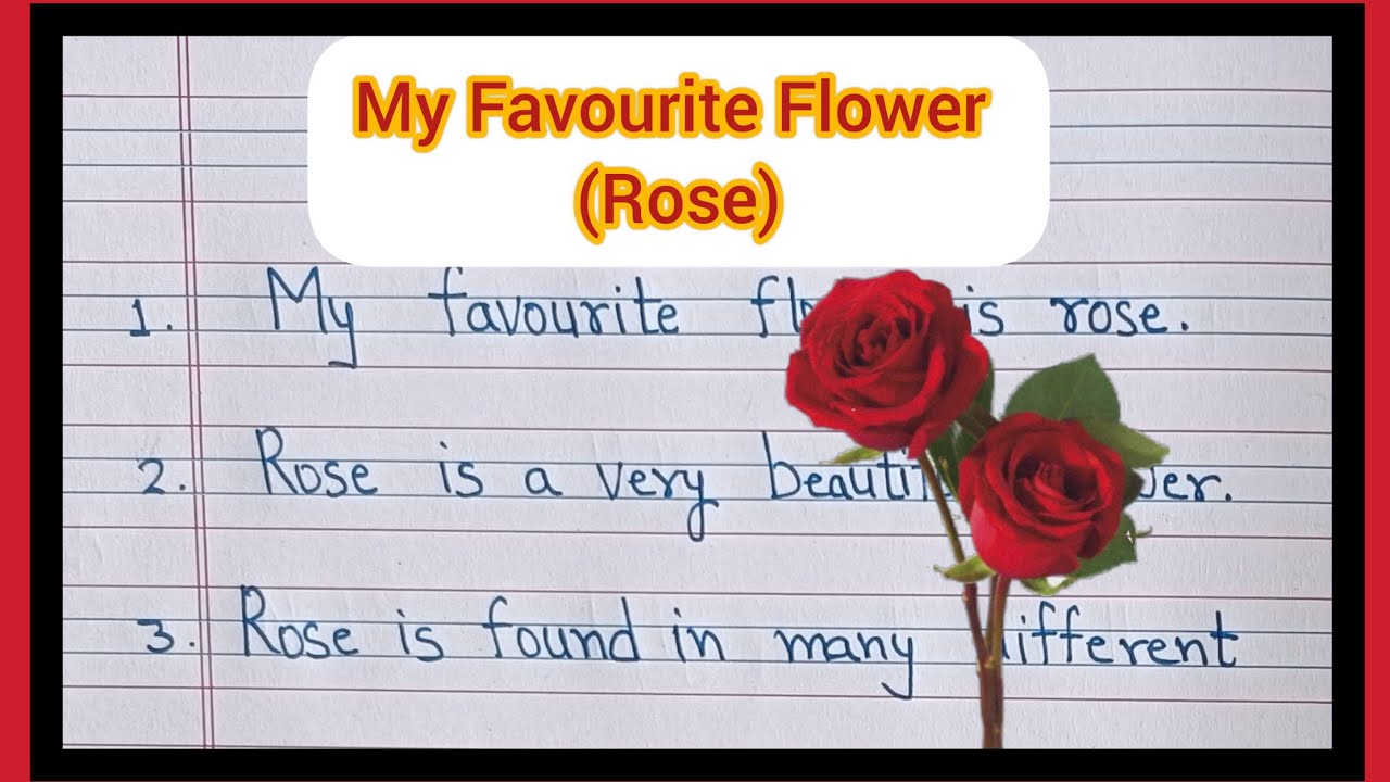 My Favourite Flower Rose|| 5 Lines on My Favourite Flower Rose|| My Favourite Flower Rose Essay