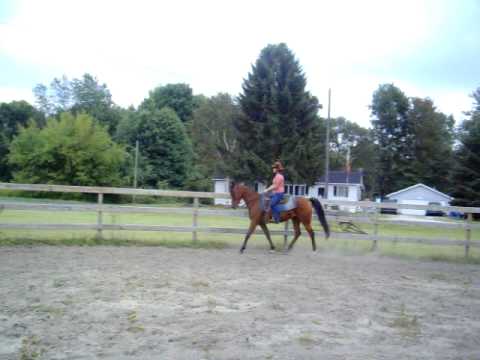 Khindia S First Time Working In Western 