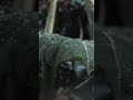 RRainy Day Status 🌧️ Relaxing Rain Sound | White Noise ASMR #shorts