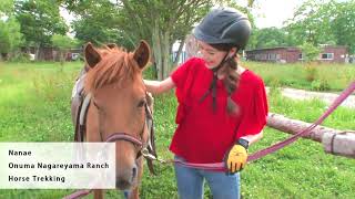 [Hokkaido Trip in Nanae Town] Interact with horses to experience the ultimate feeling of relaxation!