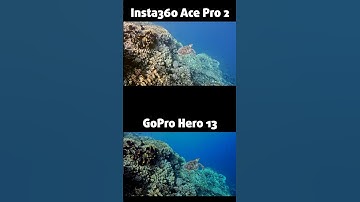 Is the Insta360 Ace Pro 2 the new low light king?🤷🏻‍♂️ #insta360 #insta360acepro2 #insta360diving