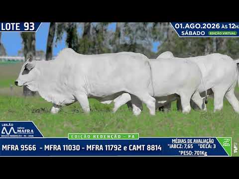 LOTE 93   MFRA 9566   MFRA 11030    MFRA 11792 e CAMT 8814