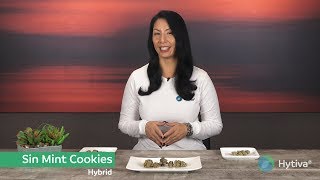 Strain Review: Sin Mint Cookies