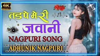 Tadpe Meri Jawani   Vishal Tirkey   Tanya   New Nagpuri Video Song   Vinay Kumar   Priti Barla expor