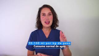 Tips para mantener hidratado a tu perro