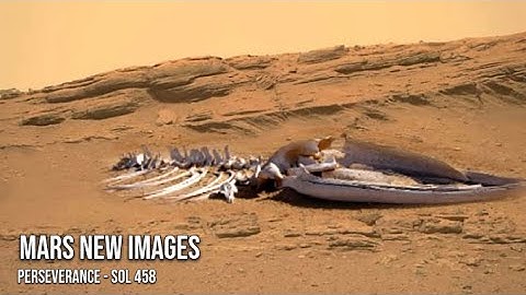 NASA