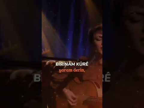 ruj çû ava