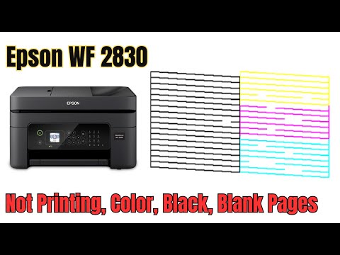 Epson WF 2830, 2860 Not Printing Black Color, Blank Pages  - Printhead Cleaning - Solution