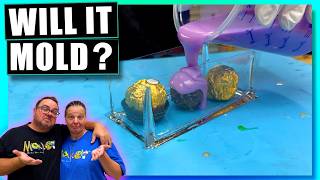 Can You Silicone Mold CHOCOLATE? - Will It Mold Ep.17
WANT SOMETHING WE’VE MADE? CHECK OUT OUR STORE ⬇️
https://bensworx.etsy.com
WANT MORE CONTENT? See what’s happening behind the scenes on Patreon ⬇️
https://www.patreon.com/bensworx
WANT TO SEND US SOMETHING?
BENSWORX
PO BOX 3318
LOGANHOLME 4129
QLD Australia
CHECK OUT OUR 2ND CHANNEL
http://www.youtube.com/@BensWorx
BRANDS WE LOVE TO USE
Check out the RESINERS MACHINES ⬇️
Air Purifier & Curing Machine
https://resiners.com/?ref=bensworx
Use Code: BENSWORX for a Discount
Buy the JUST RESIN Pastes, Epoxy Resin and Silicone We use here: ⬇️
https://www.justresin.store/bensworx10 (Australia store)
https://justresin.shop/bensworx10 (International store)
Use Code BENSWORX10 FOR A DISCOUNT
Check out The XTOOL S1 or P3 Laser Cutter ⬇️
https://www.xtool.com/?ref=bnefopjd&utm_medium=5306&utm_source=influencer
Check out LET’S RESIN ⬇️
https://letsresin.com/?ref=Bensworx
USE CODE: BENSWORX FOR A DISCOUNT
HARE AND FORBES MACHINERY HOUSE ⬇️
https://www.machineryhouse.com.au/W385
https://www.machineryhouse.com.au/w387
RESIN SUPPLIES WE USE
Dichroic Film - https://amzn.to/4qf2DwU
4mm Lure Eyes - https://amzn.to/4kgrDCJ
Glow Powder we Use - https://amzn.to/3Zhs4T4
Resin Ratio Mixing Cups - https://amzn.to/4thPOoj
Silicone Stirring Sticks - https://amzn.to/4c6Kr5c
Rubber Gloves - https://amzn.to/3ZgxmPf
Alcohol Spray - https://amzn.to/4rt0sXF
Wooden Stirring Sticks - https://amzn.to/4r090FM
Silicone Mat - https://amzn.to/4kjqudC
OUR FAVOURITE SILICONE MOLDS
Penny Pig Mold - https://amzn.to/4roe9ai
Sally Axolotl - https://amzn.to/4c77OLV
Steve Octopus - https://amzn.to/49ZilHK
Freddy Frog - https://amzn.to/4kifuxc
Eagle - https://amzn.to/4adYjIk
Dragon - https://amzn.to/4bu4IS6
Domino Set - https://amzn.to/3O24rfl
Large Skull - https://amzn.to/45NnHDt
Unicorn - https://amzn.to/4bvutl1
Duck - https://amzn.to/3ZgjMvm
Heart - https://amzn.to/3NTPOLc
Various Molds We Also Like - https://amzn.to/4akS5Xs
TOOLS WE USE
Deburr Tool - https://amzn.to/3LPvZnJ
The felt tips for cleanup: https://amzn.to/4nqVSrj
Acrylic Cutter: https://amzn.to/45srSnk
Pressure Pot: https://amzn.to/41VP5OA
Vacuum Chamber: https://amzn.to/4jjaJCx
Elegoo Saturn 4 Ultra 3d printer: https://amzn.to/3CYqHRW
Face Shield: https://amzn.to/47cTU6R
Brain for resin Skull - https://amzn.to/4eZsjrU
Painting Handle - https://amzn.to/3CLzV3N
Half Mask - https://amzn.to/3mearnf
USB Led light with switch - https://amzn.to/3Qgb9LX
Resin for printer - https://amzn.to/2MsEh6f
Resin Curing Lamp - https://amzn.to/3bHMID3
Ultrasonic Cleaner - https://amzn.to/3sxQlCi
Washing Alcohol - https://amzn.to/2O0mELm
Stablizing Resin - https://amzn.to/3qSX9ds
Flickering Led Candle - https://amzn.to/2YMUR3b
3w Led Bulbs - https://amzn.to/3h2coNi
Rocker switch - https://amzn.to/2WuS6m1
Resin Pump Dispenser - https://amzn.to/3iDRrYr
UV Resin - https://amzn.to/33X2kR2
UV Torch - https://amzn.to/2IksMbN
Rubber Cleaning block - https://amzn.to/2HlBNAE
Mold Making Supplies - https://amzn.to/31VxgP7
Silicon Molds - https://amzn.to/3iyxNNw
Rocket Release - https://amzn.to/2KPFhxy
Check out Nicoles instagram - https://www.instagram.com/nicoles_worx
All Business Enquiries Email me @
bensworx@gmail.com
Facebook ➡️ https://m.facebook.com/bensworx1
Instagram ➡️ https://www.instagram.com/bens_worx
Thanks for watching!
#resinart #resincrafts #resinmolds
©️ All uploads are my intellectual property. You do not have permission to re-use any part of them without my written consent. *As an Amazon Associate I earn from qualifying purchases* Can You Silicone Mold CHOCOLATE? - Will It Mold Ep.17