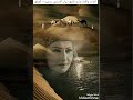 قصيدة الشاعر طارق ذياب سجين الفراق حرا م تهجرني