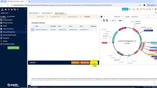 Gibson Assembly in the Sapio ELN Molecular Biology Toolkit