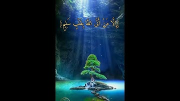 سورة الشعراء.القارئ أحمد النفيس🕊️🐦