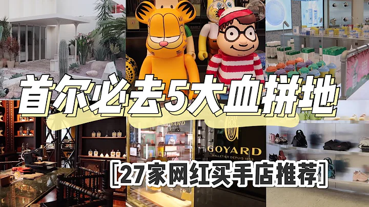 韓國購物攻略❗️首爾必去5大血拚地27家網紅買手店推薦|江南區林蔭道|新沙洞|弘大|梨大|明洞|梨泰院|韓國Seoul乾貨 - 天天要聞